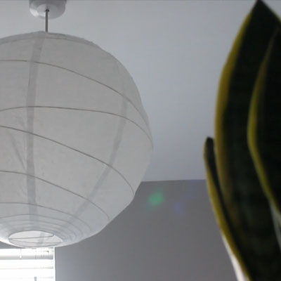 Light and Plant